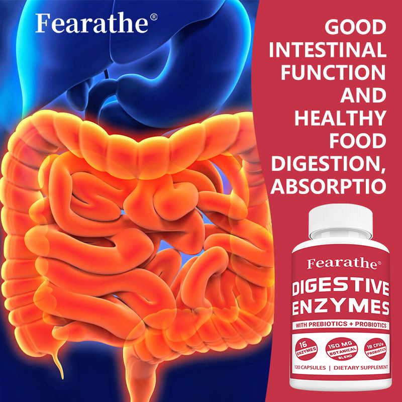 Digestive Enzyme Blend - 消化酵素カプセル - プロバイオティクスとプレバイオティクス配合、腸の健康をサポート、免疫サポート、消化器の健康を促進